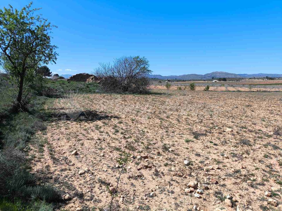 Helårsgrund i Yecla, Murcia - foto 3